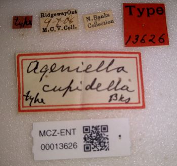 Media type: image;   Entomology 13626 Aspect: labels